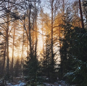 book-typewriter-right-2-opt