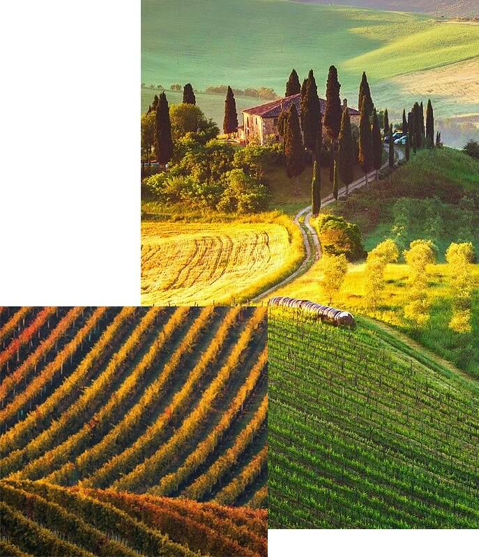 wine-gen-img-1 wine-gen-img-1