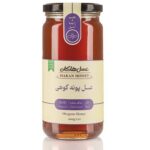 عسل پونه کوهی هاکان 600 گرمی